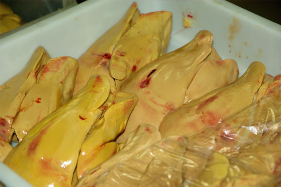 Lobes de foie gras cru